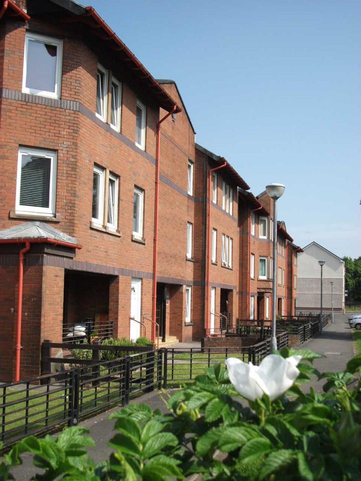 PIC - STOCK - row of red brick buildings with white flower at front